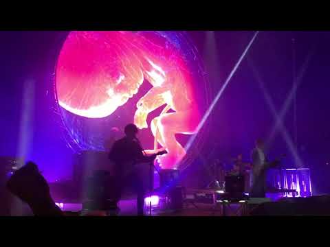 Мумий Тролль - Инопланетный Гость ( концерт в Вильнюсе 09-12-2017 )