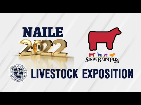, title : 'Open Red Angus Show - NAILE 2022!'
