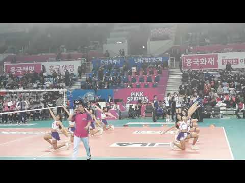 180221 배구 인천 흥국생명 핑크스파이더스의 이범형 응원단장님, 김연정 치어리더님 외 7분 멋진 공연이에요~(공연곡은 싸이의 비상)