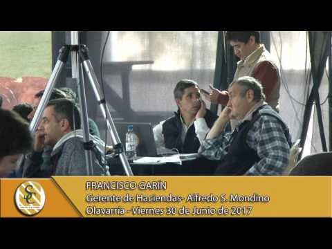 30-06-17 Nota Francisco Garín - Alfredo S. Mondino - Remate Televisado - Olavarría