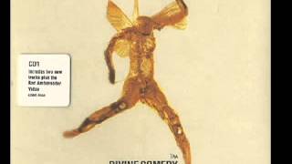 The Divine Comedy - U.S.E.