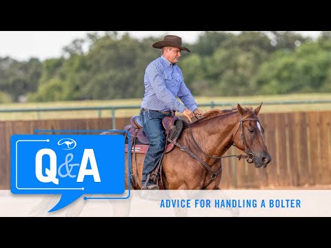 Advice for Handling Horses That Bolt - Q&A