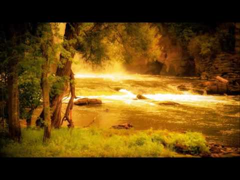 Dusk Sounds 8 Hours: Nature Sounds, The Sound of Meditation, Deep Sleep, Relaxing Sounds