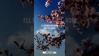 Dusk Till Dawn by Luca Lush and Zayn #shorts #aesthetic #viral