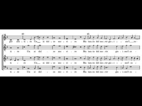 Verdelot: Si lieta e grata morte - Profeti della Quinta