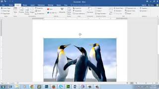 How to insert online picture in ms-word 2016