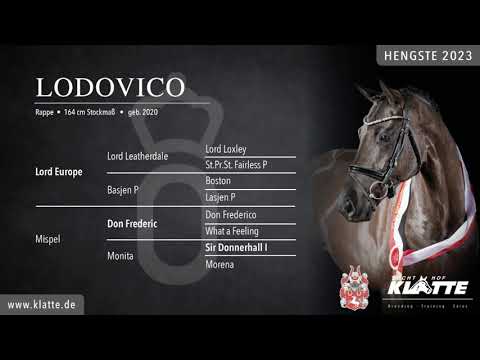 LODOVICO v. Lord Europe x Don Frederic x Sir Donnerhall I / HENGSTE 2023 www.klatte.de