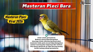 Download lagu Ini dia Yang Di Cari MASTERAN PLECI BARA(Tembakan MENDESAH PANJANG)adikan Pleci mu Gacor Sahdu. mp3