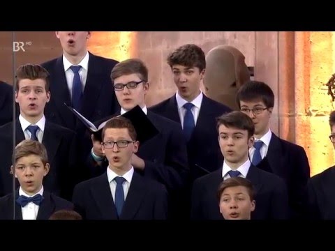 "Exsultate Deo" Alessandro Scarlatti | Windsbacher Knabenchor (Martin Lehmann)
