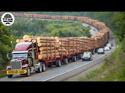 Extreme Dangerous Big Logging Wood Truck Driving Skill | Fastest Chainsaw Cutting Tree Machines #29