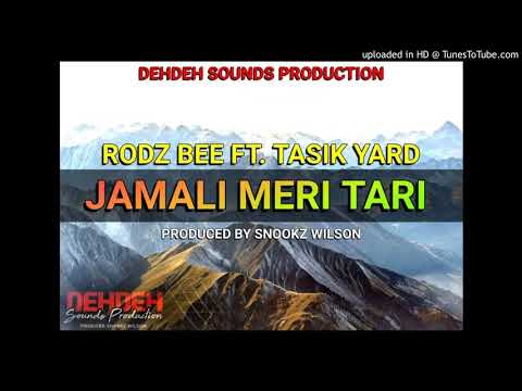 Jamali Meri Tari-2020 _Rodz_Bee_x_Tasik_Yard_Latest_Png_Music