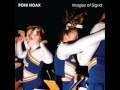 Poni Hoax - All Things Burn 