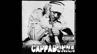 Cappadonna - Slang Editorial (DJ Premier Remix)