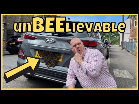 HUGE Honey Bee Swarm On My Vehicle - UNBELIEVABLE !! REMOVAL Process By Bee Keeper...