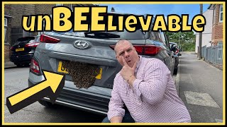 The Incredible Process of Honey Bee Swarm Removal