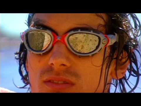 Introducing the Zoggs Predator Flex