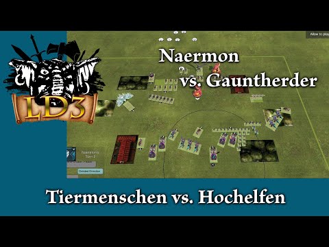 Tiermenschen gegen Hochelfen - LD3 [Warhammer The Old World Spielbericht]