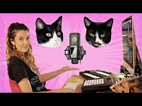 This Girl Created A Beat Made Entirely From Sounds From Her Cats And It Kind Of Slaps