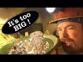 Biggest GOLD NUGGET unearthed in Drift mine || Record Breaking - ask Jeff Williams