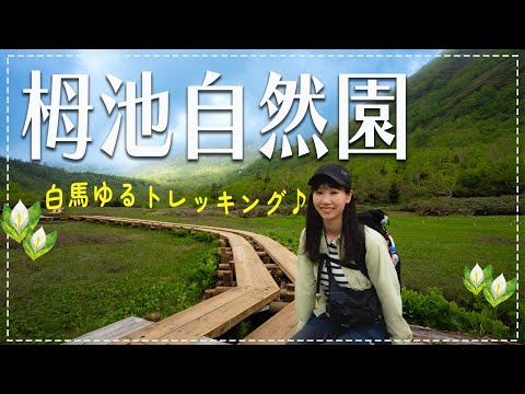 花と山の絶景！白馬栂池自然園ゆるトレッキング！