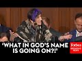 'What The Hell Are We Talking About Here?': Rosa DeLauro Lambasts Mail-In Voting Critiques