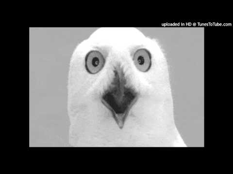 Mobius Strum & Cari Golden - Vertigo (Nick Curly Remix).wmv