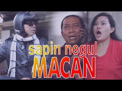 ada-macan-dirumah-haipuja-puja-astawa