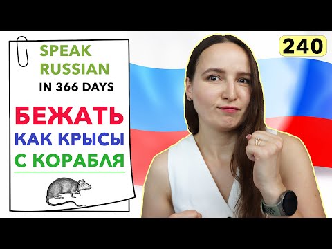 🇷🇺DAY #240 OUT OF 366 ✅ | SPEAK RUSSIAN IN 1 YEAR