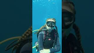 Which is your favorite diving hairstyle?