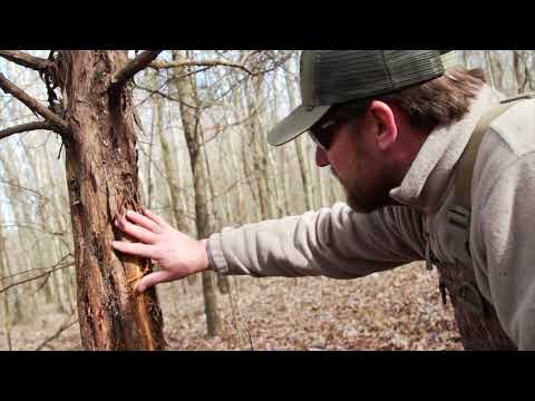 Archive 40 Video thumbnail