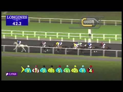 06.12.2012 Meydan (Dubai-UAE) 5.Race Hygain Trophy - 1.600 m