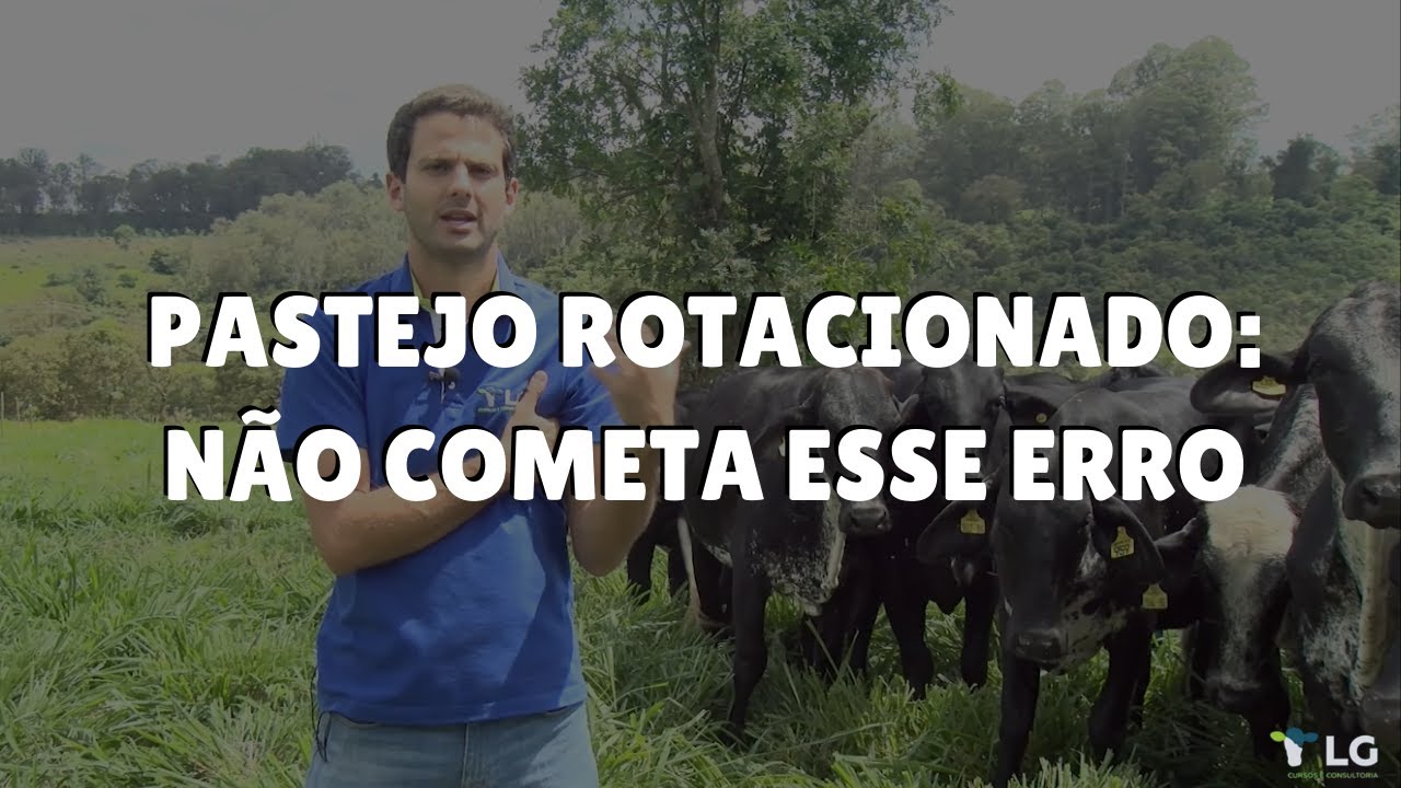 Pastejo rotacionado: cuidado para também não cometer esse erro