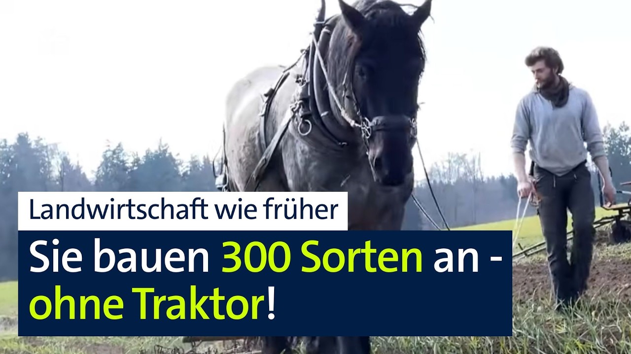 300 verschiedene Arten Gemüse und Blumen und das ohne Maschinen, sondern wie früher mit Pferd | BR24