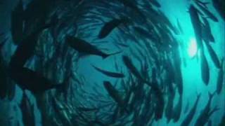 Floater My Burden Stone by Stone