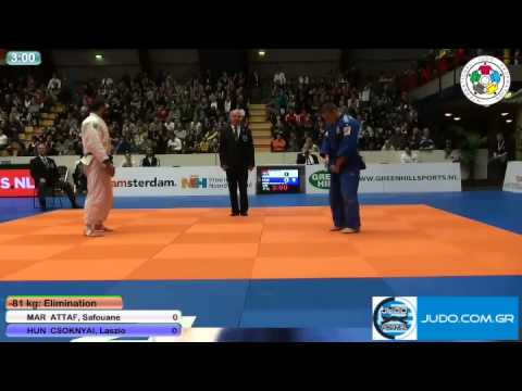 Judo Grand Prix Amsterdam 2011 -81kg ATTAF (MAR)-CSOKNYAI (HUN)