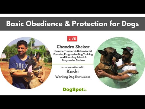 Basic Obedience and Protection in Dogs with Chandra Shekar, Canine Trainer & Behaviorist