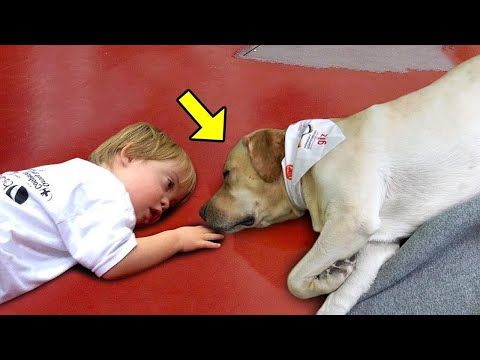 Das Baby war seit der Geburt gelähmt. Dann tat der Hund etwas, das alle überraschte