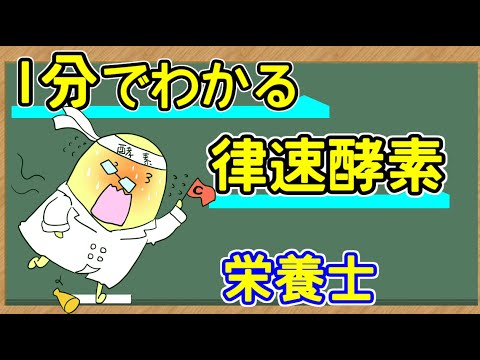 酵素のリストについて詳しく解説