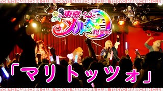 【LIVE】マリトッツォ／東京メルヘン倶楽部