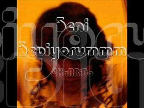 Seni Seviyorum... [ www.alemdunya.com ]