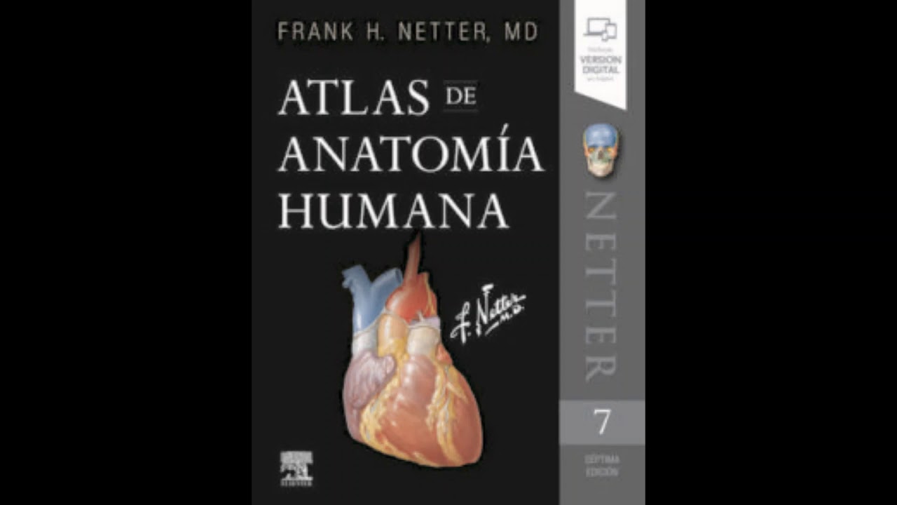 Descargar Netter Atlas de Anatomía Humana. (7° Ed) PDF gratis online (REVISAR DESCRIPCIÓN)