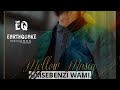 Mellow Music Umsebenzi Wam