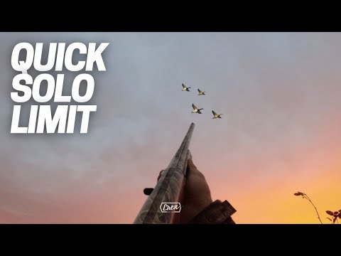 Quick Solo Hunt Limit | Duck Hunting 2022 Ep2.1