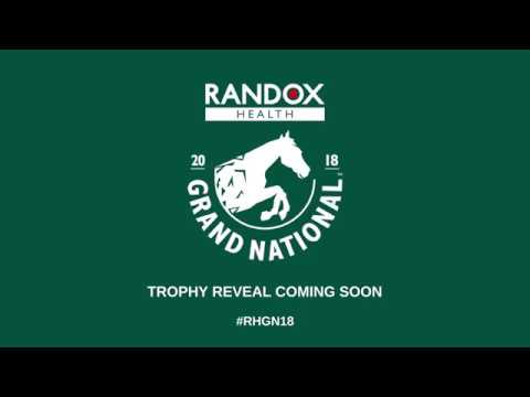 Randox Health Grand National Trophy 2018...only one day to go!