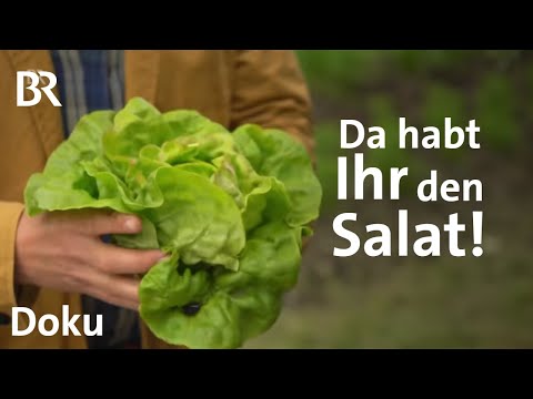 Knackig, grün, gesund: Schmidt Max und der Salat | freizeit | Doku | BR