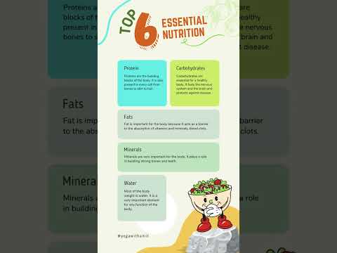 Top 6 Essential Nutrition