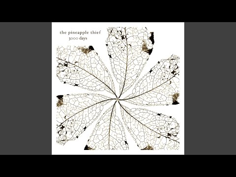 Clapham - The Pineapple Thief