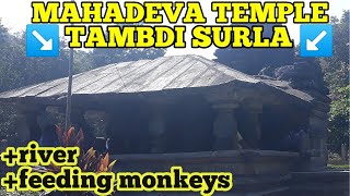 preview picture of video 'Ancient Mahadev Temple Tambdi Surla | Feeding The monkeys | Lake Near Tambdi Surla | At Goa'
