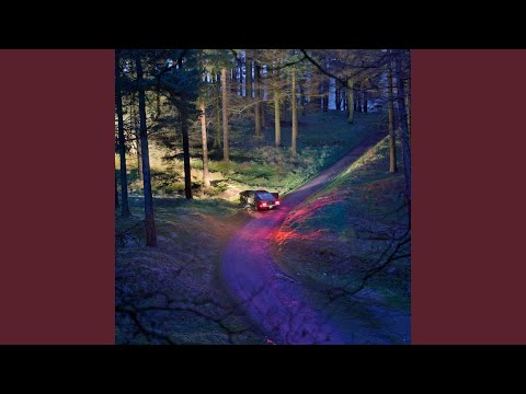 Video thumbnail for The Woods