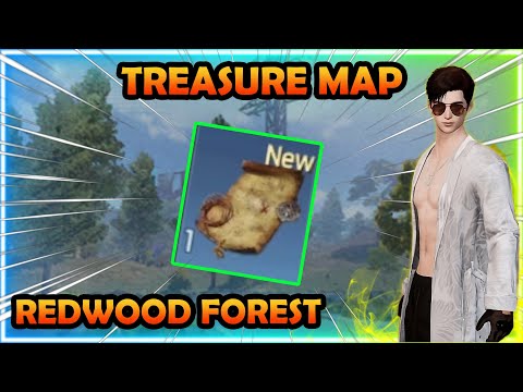 All Treasure Maps in Redwood Forest | UNDAWN